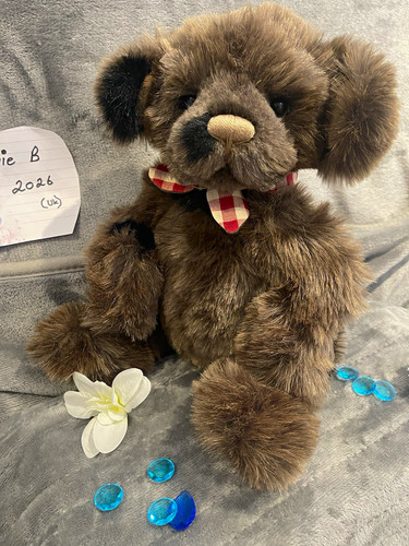 Charlie bears boomerang - bears, "boomerang"