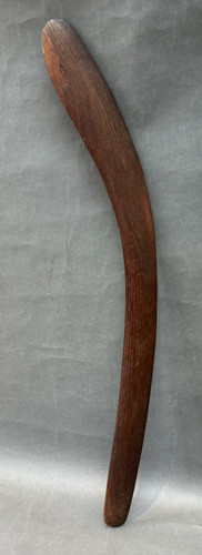 Grosser australischer - grosser,