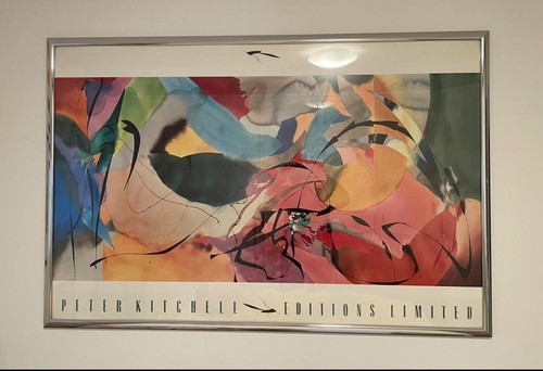 Peter kitchell boomerang - kitchell,